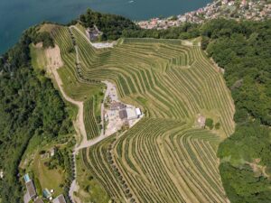 Aerial view of the terraced vineyards at Tenuta Castello di Morcote overlooking Lake Lugano in Switzerland.